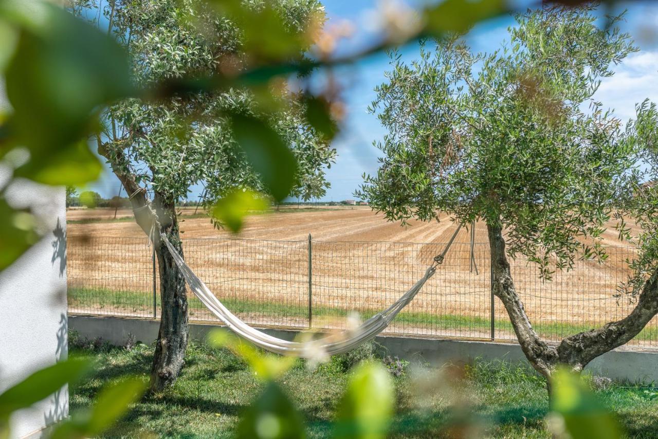 Ortopi Country Canapa House Porto Recanati Kültér fotó